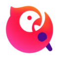 怎么到谷歌查找数据