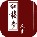 风赛4安卓