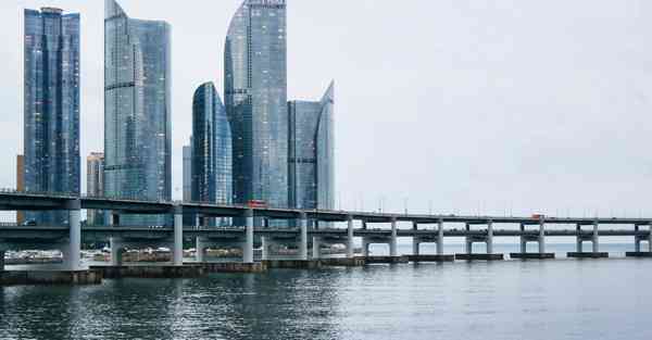 海豚加速器怎么样