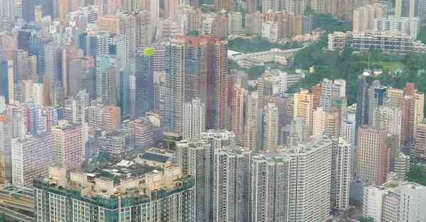 佛跳墙永久v2. 	