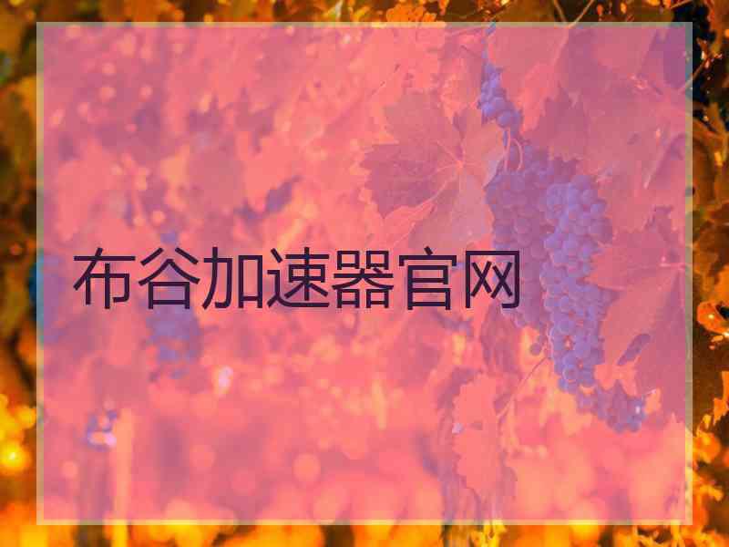 布谷加速器官网