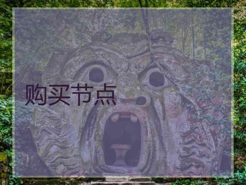 购买节点