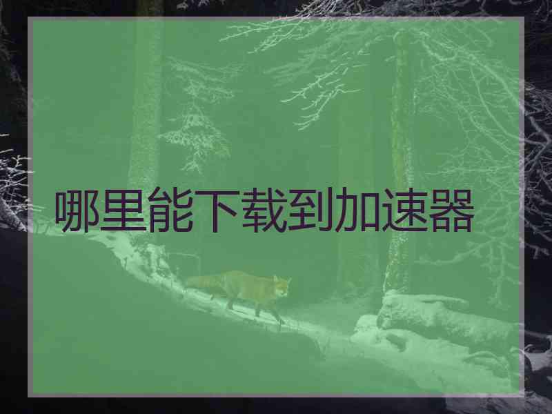 哪里能下载到加速器