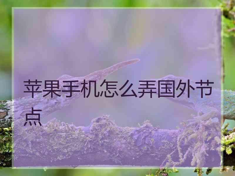 苹果手机怎么弄国外节点