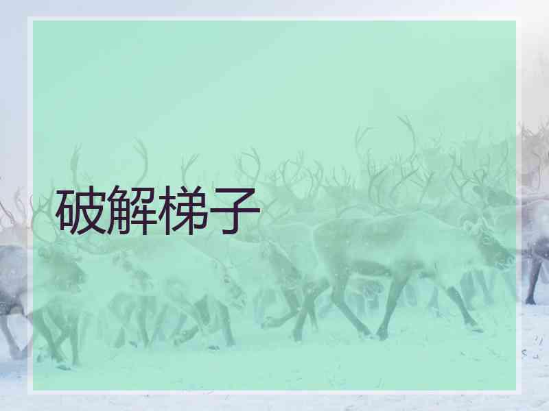 破解梯子