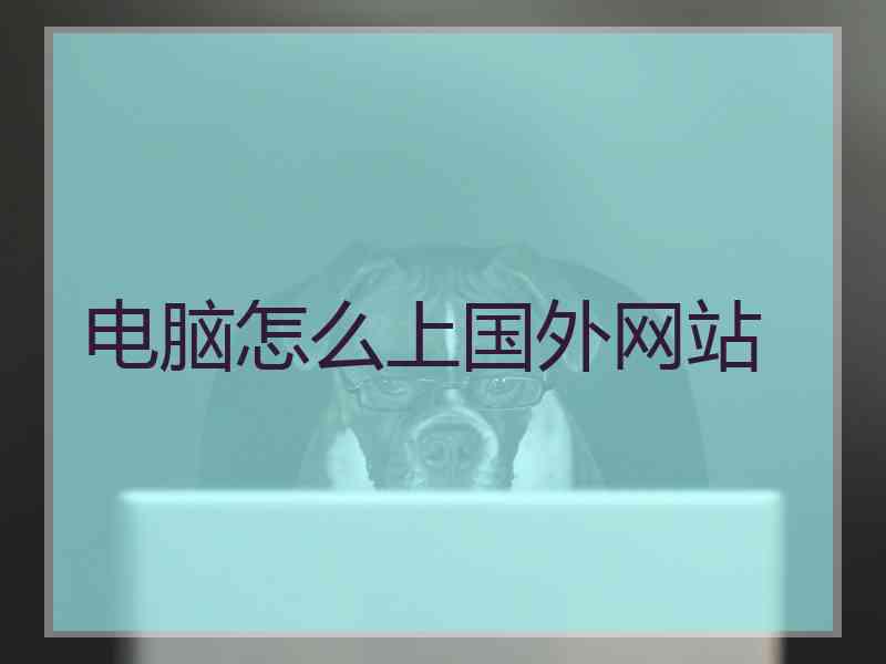 电脑怎么上国外网站