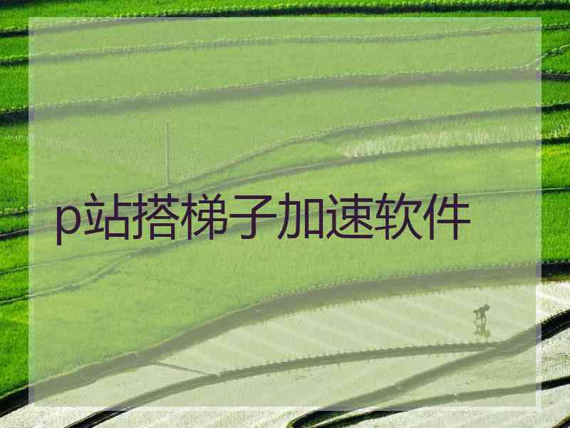 p站搭梯子加速软件