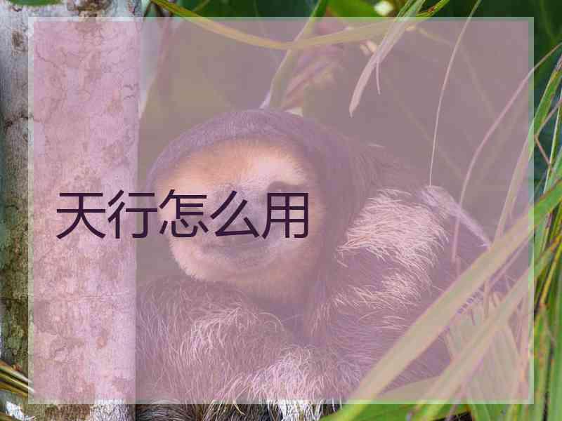 天行怎么用