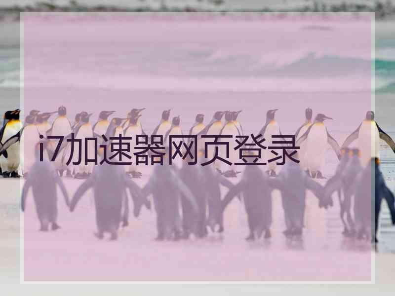 i7加速器网页登录