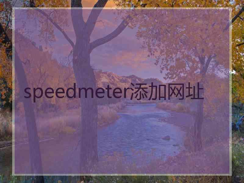 speedmeter添加网址