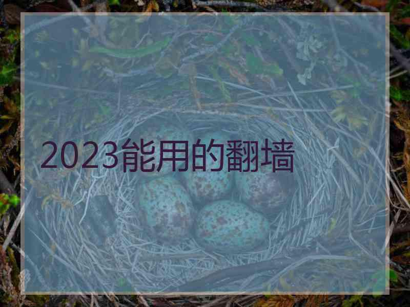 2023能用的翻墙