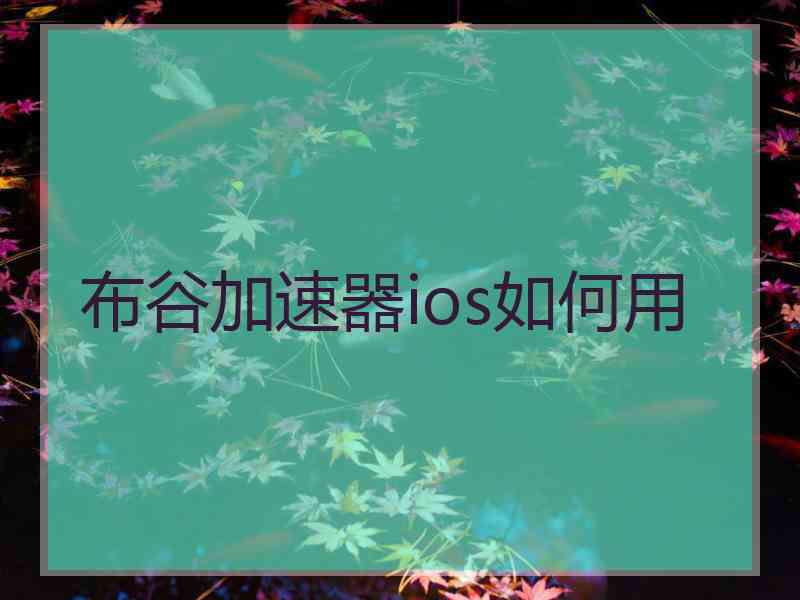 布谷加速器ios如何用