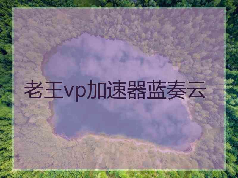 老王vp加速器蓝奏云