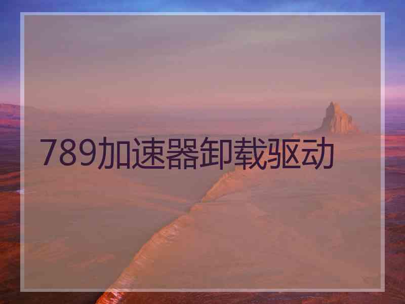 789加速器卸载驱动