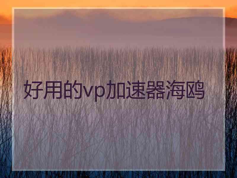 好用的vp加速器海鸥