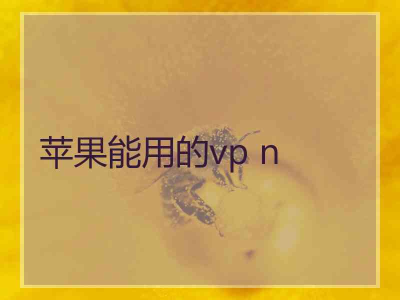 苹果能用的vp n