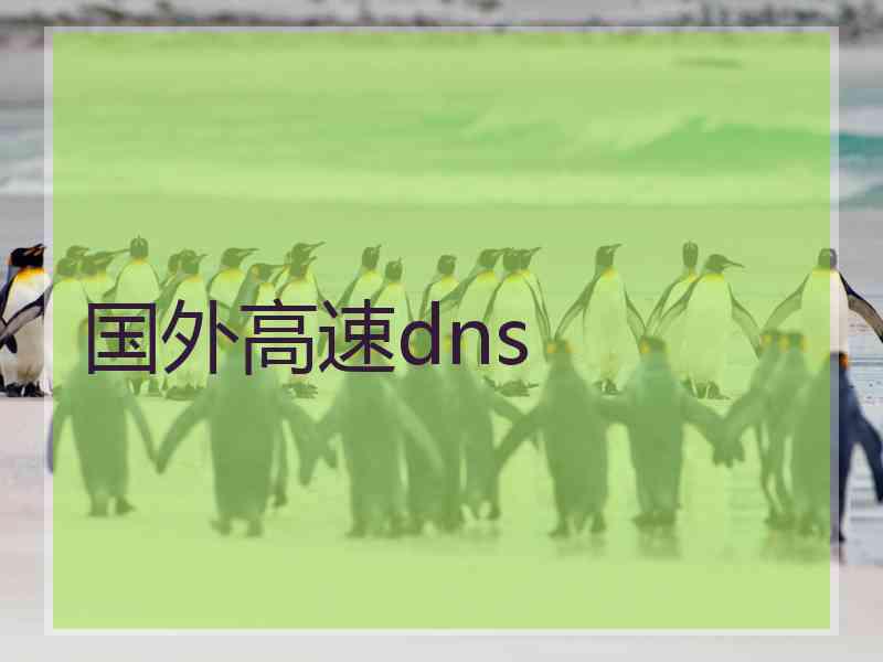 国外高速dns