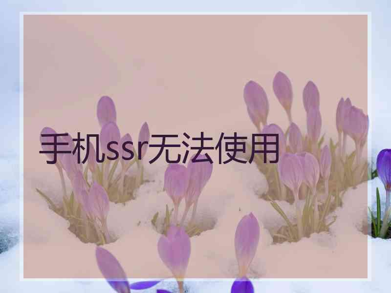 手机ssr无法使用