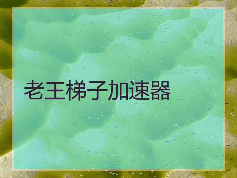 老王梯子加速器