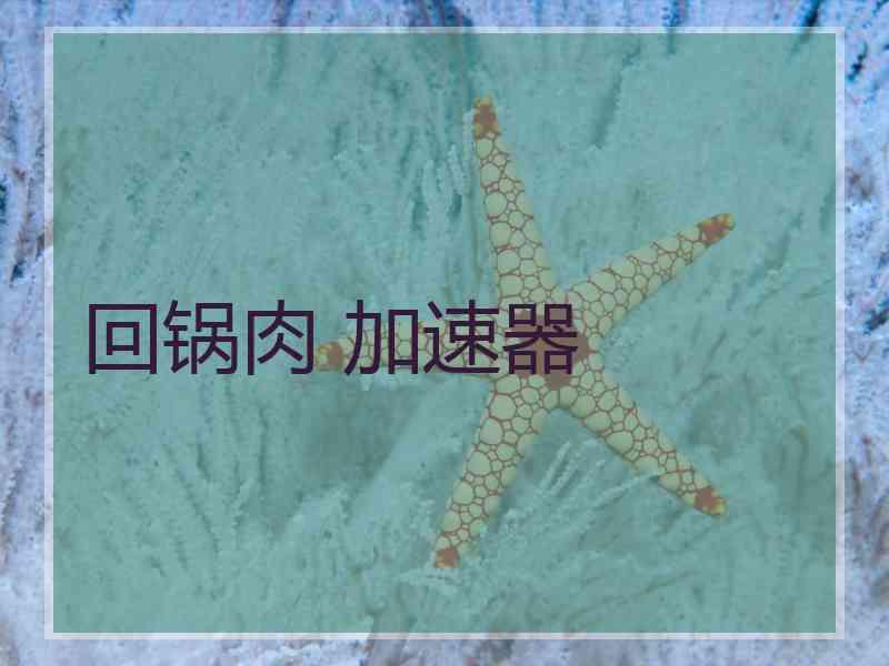 回锅肉 加速器