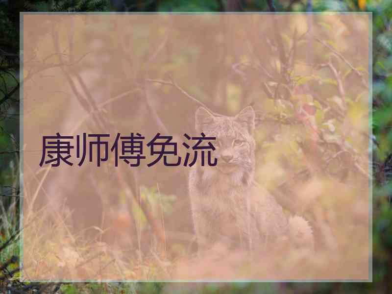 康师傅免流