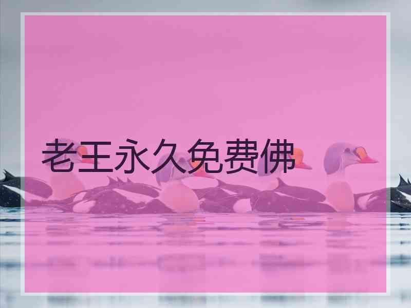 老王永久免费佛