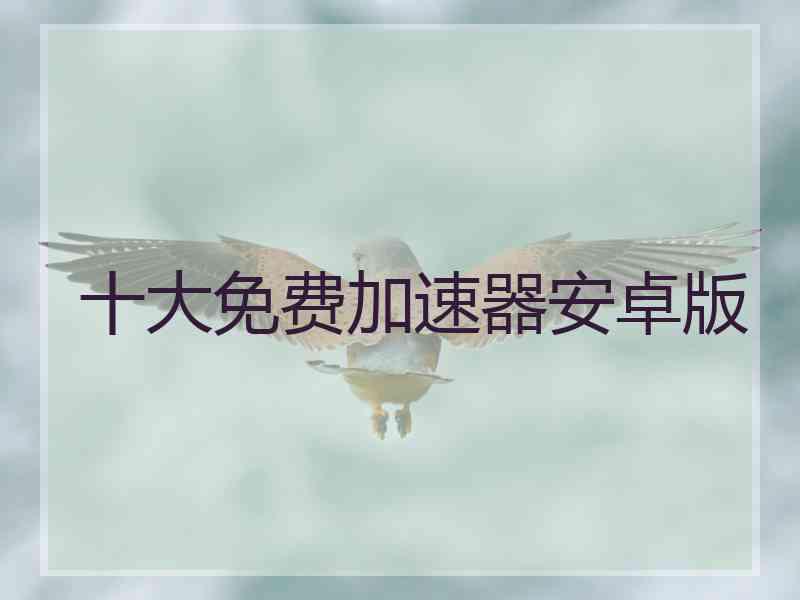 十大免费加速器安卓版