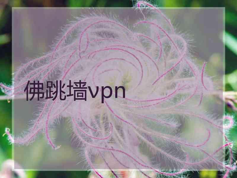 佛跳墙νpn