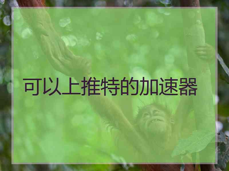 可以上推特的加速器