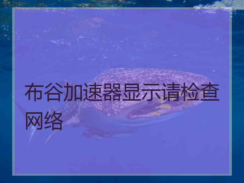 布谷加速器显示请检查网络
