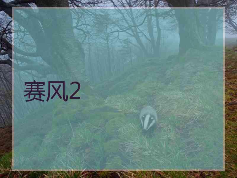 赛风2