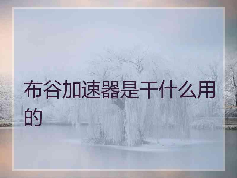 布谷加速器是干什么用的