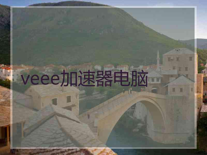 veee加速器电脑