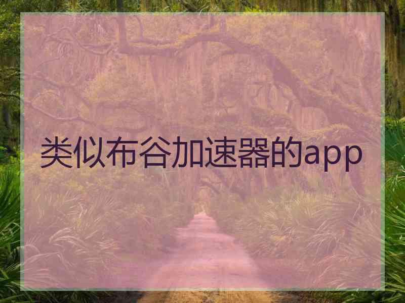 类似布谷加速器的app