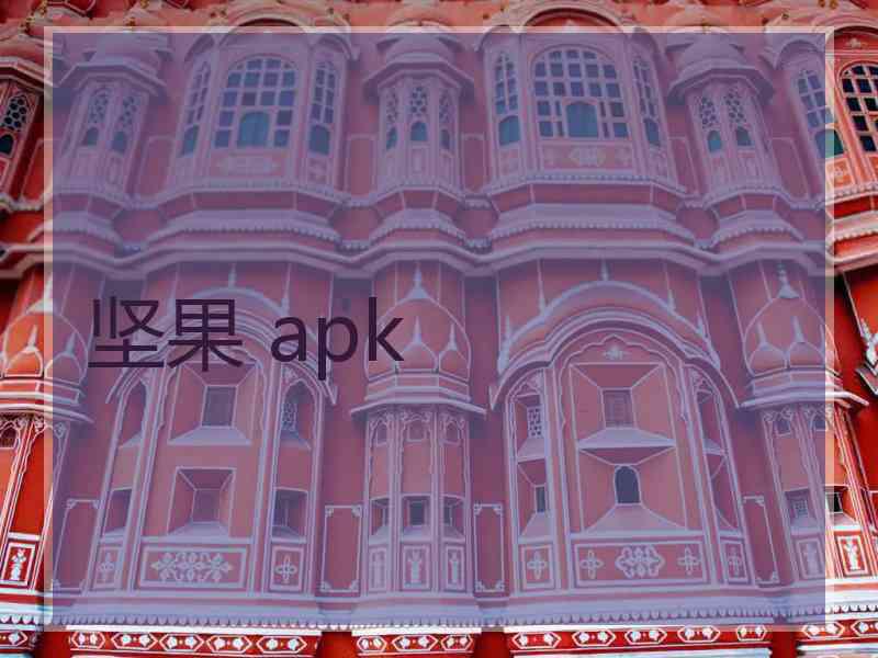 坚果 apk