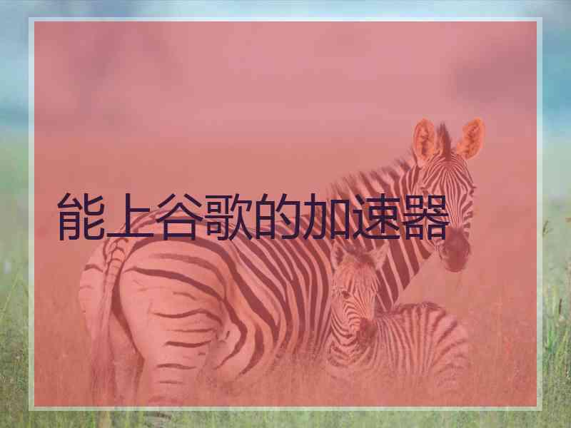 能上谷歌的加速器