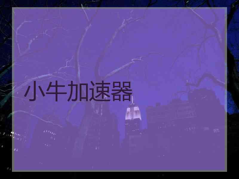 小牛加速器
