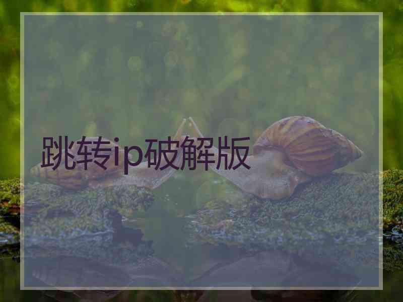 跳转ip破解版