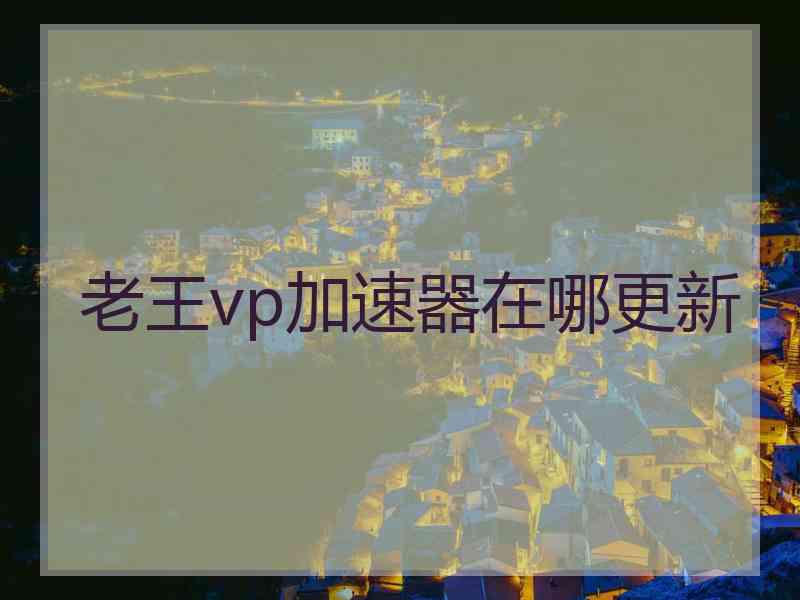 老王vp加速器在哪更新