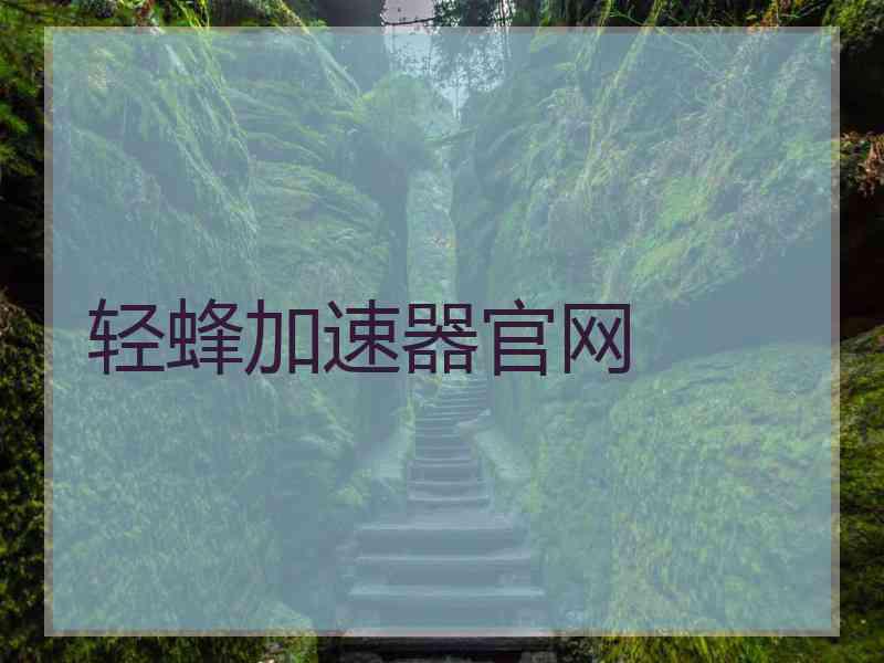 轻蜂加速器官网