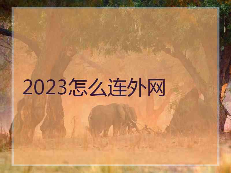 2023怎么连外网