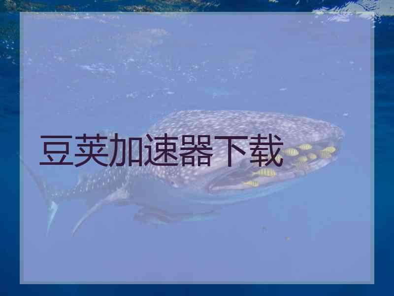 豆荚加速器下载