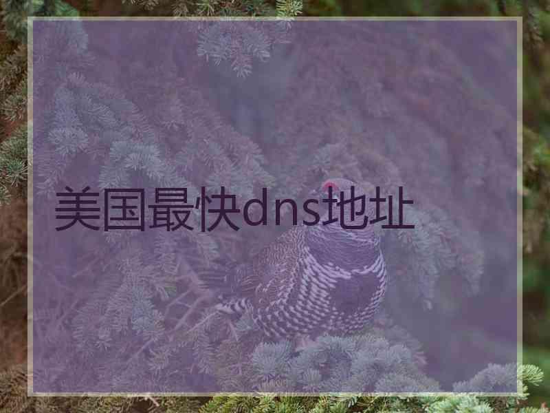美国最快dns地址