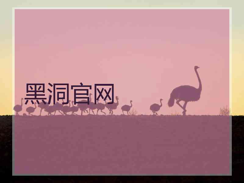 黑洞官网