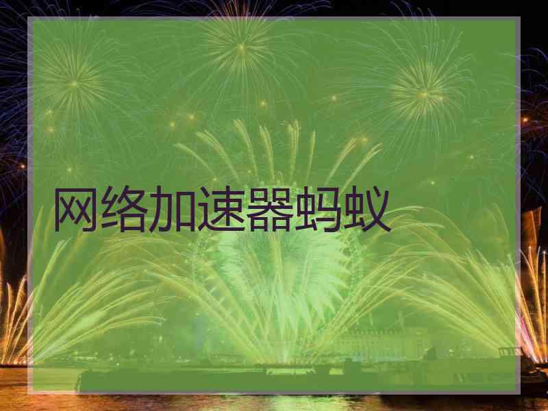 网络加速器蚂蚁