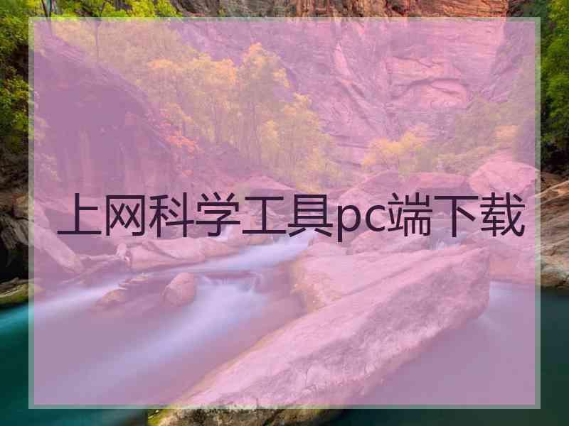 上网科学工具pc端下载