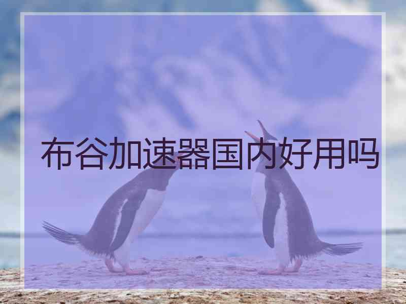 布谷加速器国内好用吗