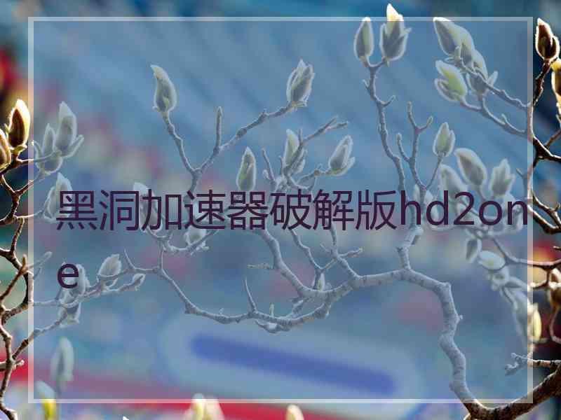 黑洞加速器破解版hd2one