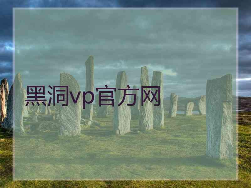 黑洞vp官方网