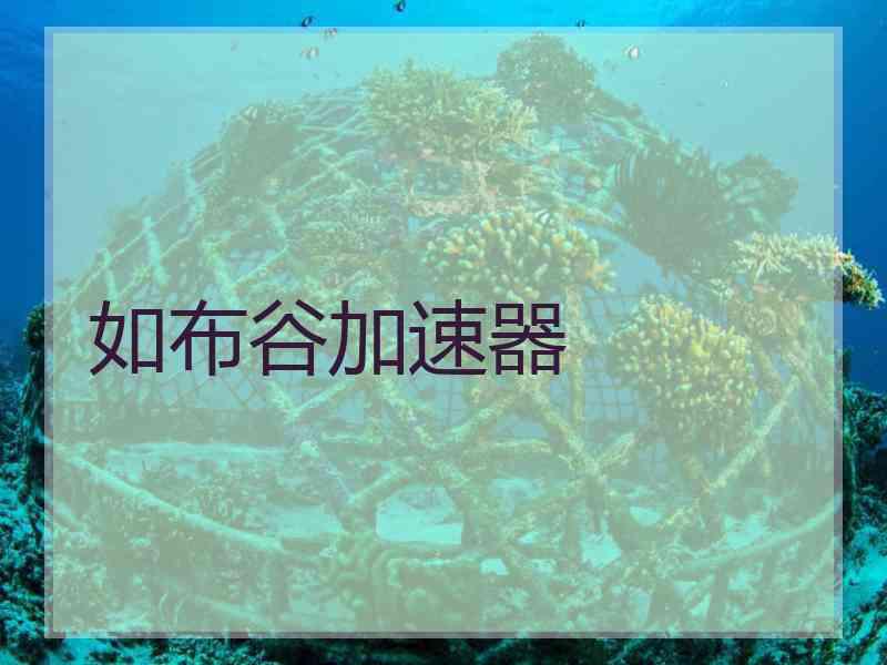 如布谷加速器